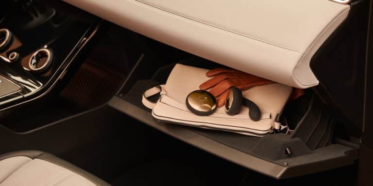 lelo ida couples vibrator