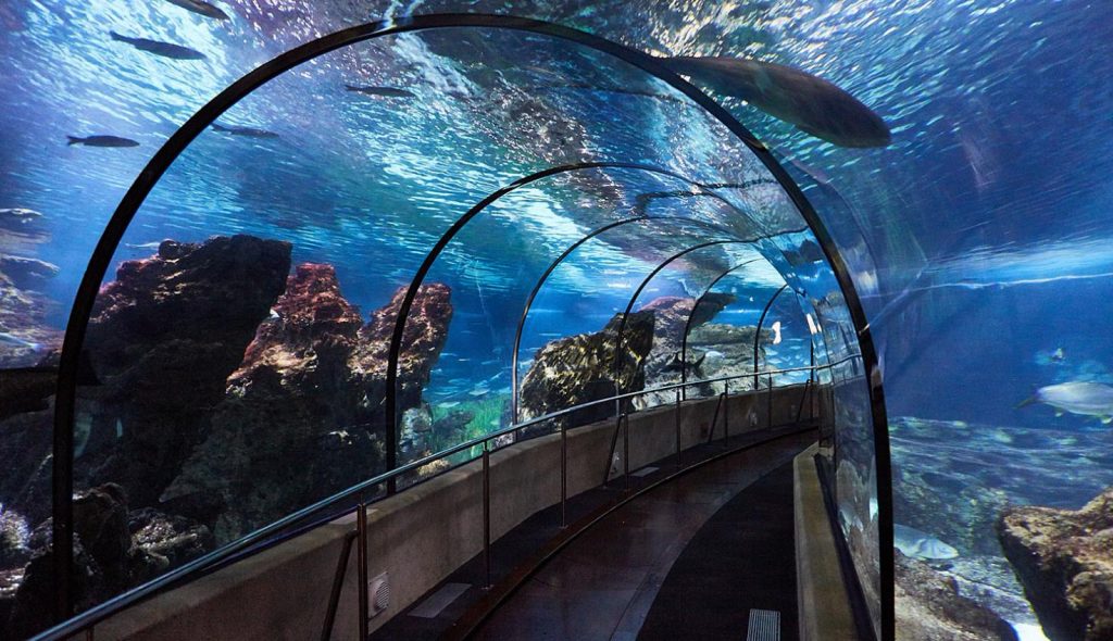 Aquarium