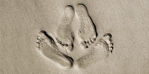 The 10 Best Euphemisms for Sex