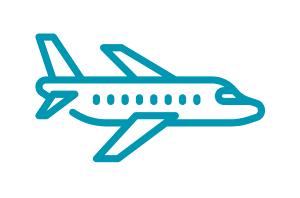 plane sex