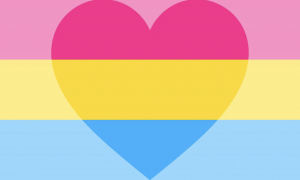 romantic pansexual