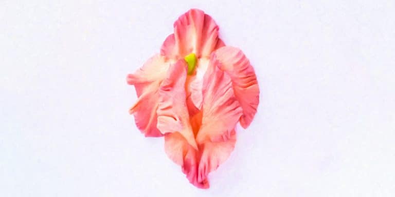 vulva stimulation techniques