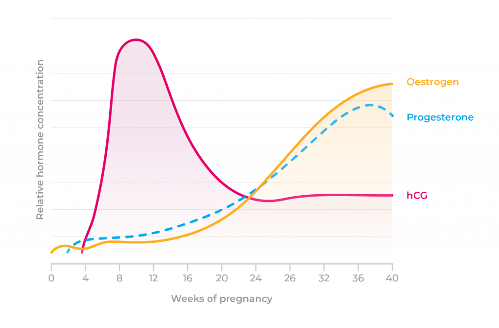 pregnancy hormone fluctuation