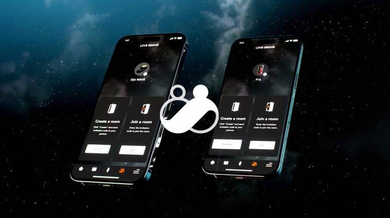 lelo love bridge long distance