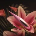 dot vibrator lelo