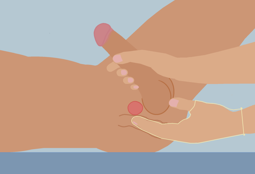 where is the prostate