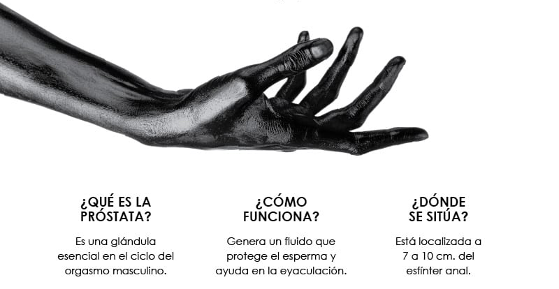 Qué es la próstata, cómo funciona y dónde se encuentra el Punto P masculino
