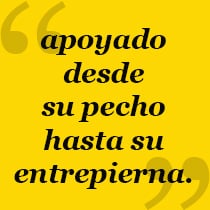 El contrabajo