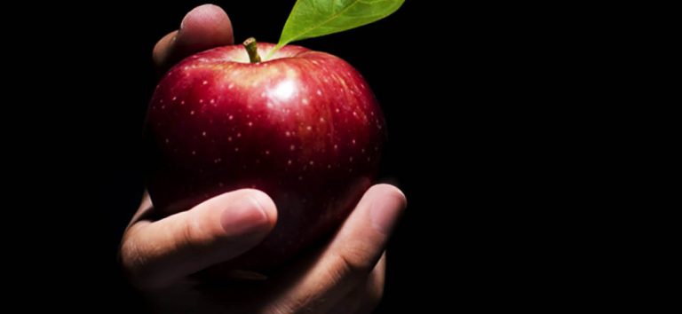 manzana roja sostenida entre las manos como símbolo de deseo y tentación