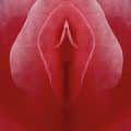 Sexo