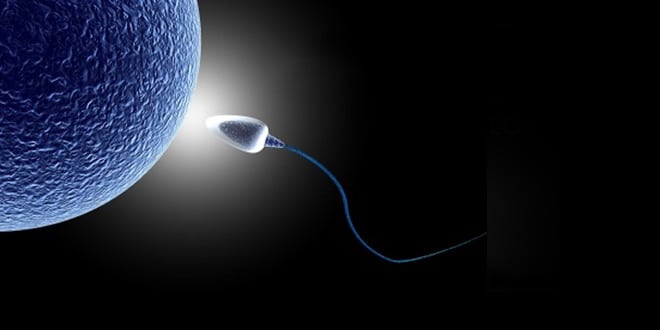 Le Sperm télécommandé !