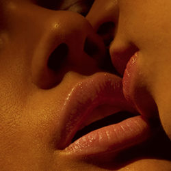 le sexe de cuisine le sexe erotique le sexe de cuisine le sexe erotique