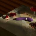 Giornata dei sextoy